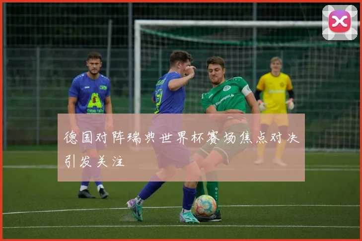 德国对阵瑞典世界杯赛场焦点对决引发关注