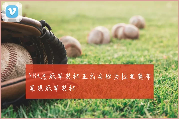 NBA总冠军奖杯正式名称为拉里奥布莱恩冠军奖杯