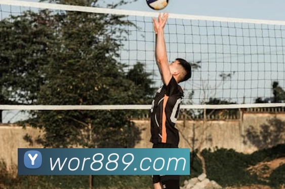 必一运动·(Bsports)官方网站APP 封面图